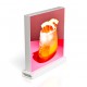 Magnetic LED light box, square, 220mm, 6500K, IP20