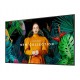 Professional screen Samsung QM65C 65"
