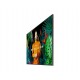 Professional screen Samsung QM65C 65"