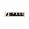 Real time counter for TikTok Smiirl