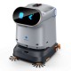 Robot KEENON KLEENBOT C40