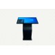 Totem digital de interior IT550, 55"