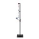 Roata Norocului 2 in 1, diametru 600mm