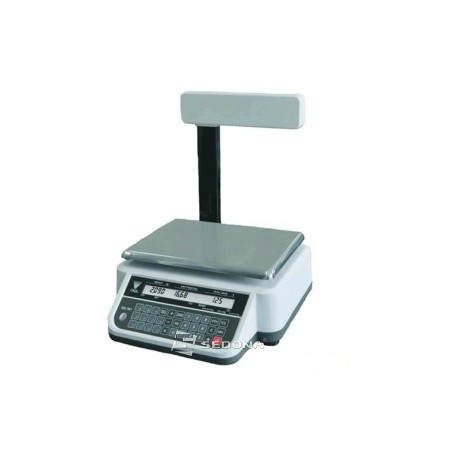 Digi DS781 P